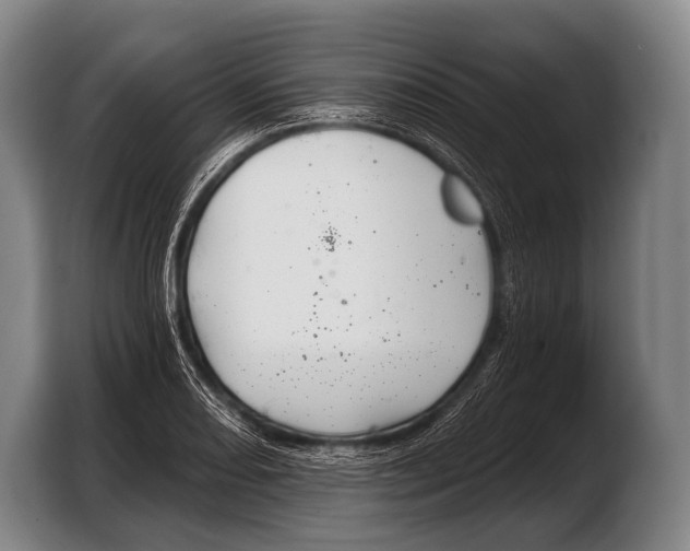 X0000103321082200810060950