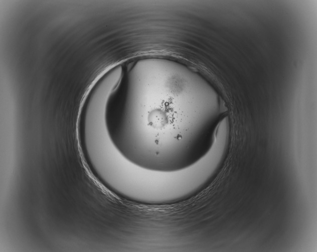 X0000103321084200810060950
