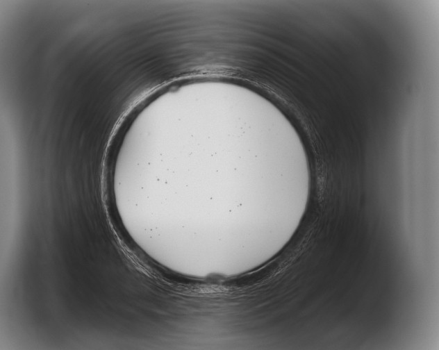 X0000103321085200810060950