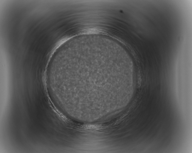 X0000103321086200810060950