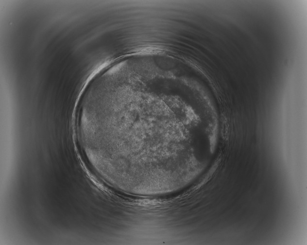 X0000103321087200810060950