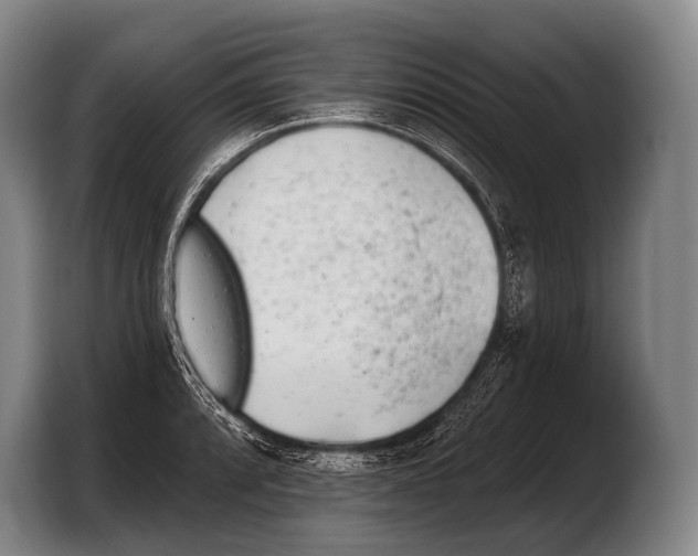 X0000103321088200810060950