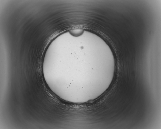 X0000103321089200810060950