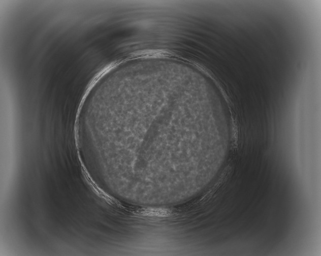 X0000103321090200810060950
