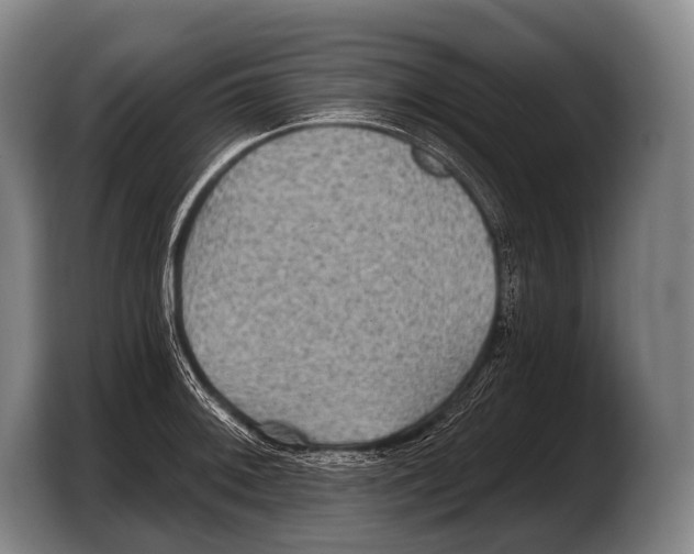 X0000103321092200810060950