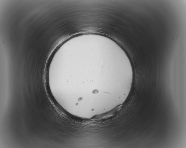 X0000103321093200810060950