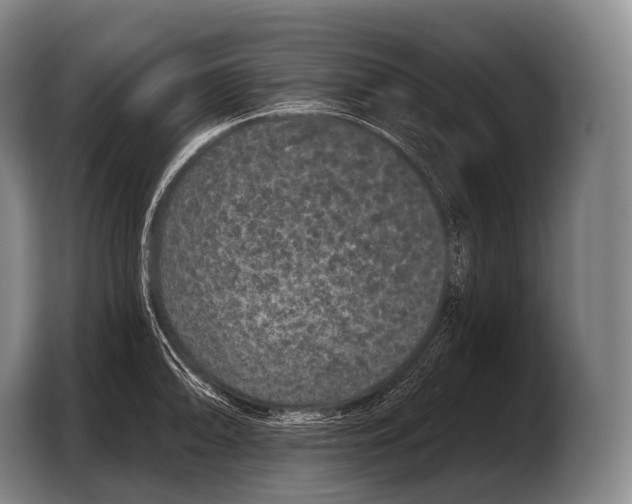 X0000103321094200810060950