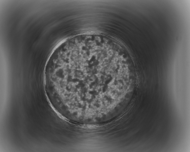 X0000103321095200810060950