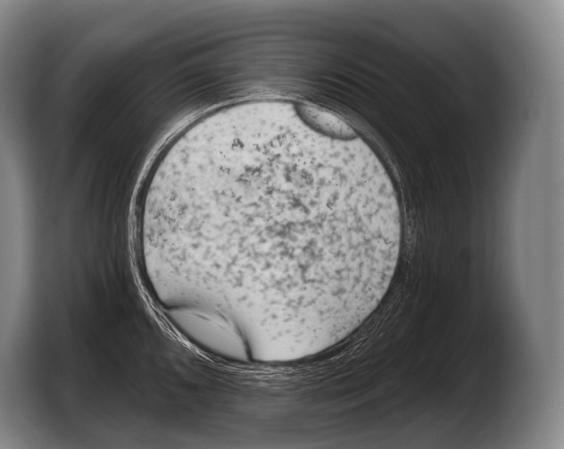 X0000103321096200810060950
