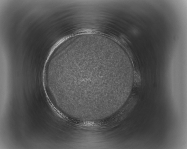 X0000103321098200810060950