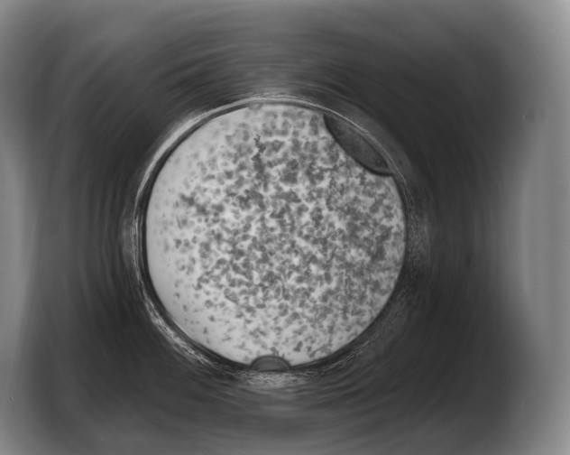 X0000103321100200810060950