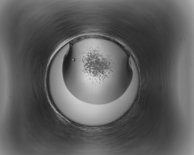 X0000103321101200810060950