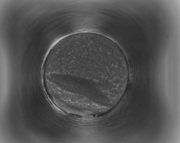 X0000103321102200810060950