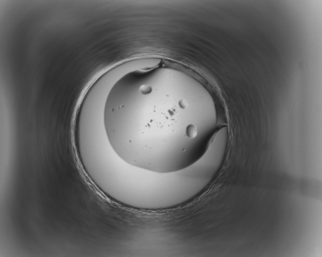 X0000103321104200810060949