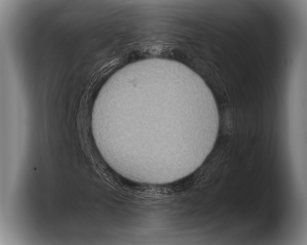 X0000103321105200810060949