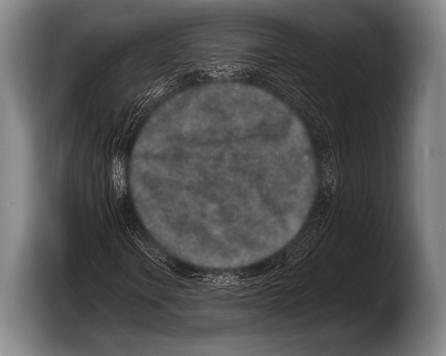 X0000103321106200810060949