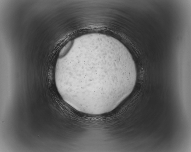 X0000103321110200810060949