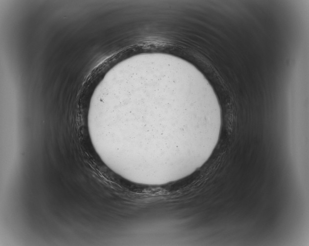 X0000103321112200810060949