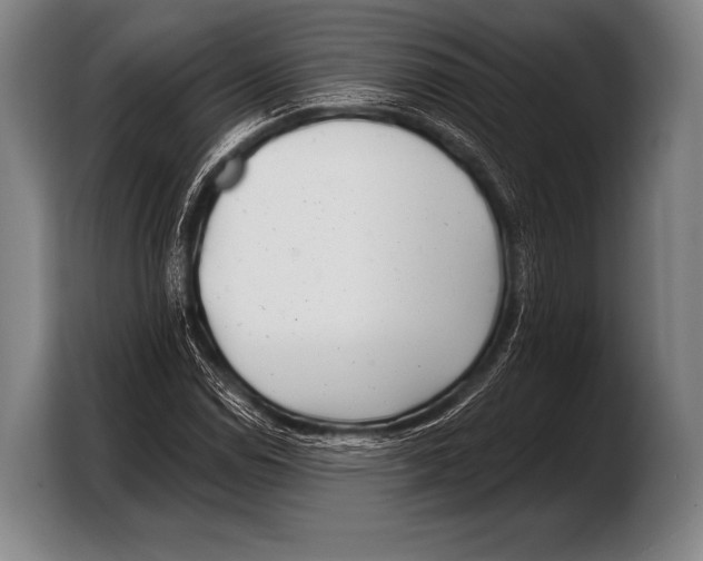 X0000103321114200810060949