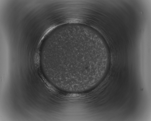 X0000103321115200810060949