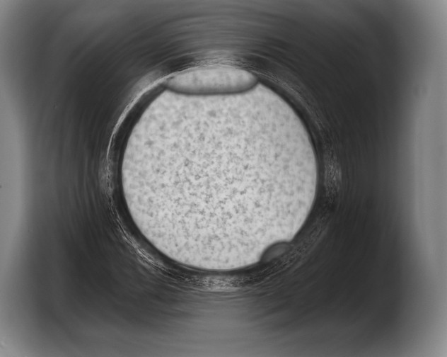 X0000103321116200810060949