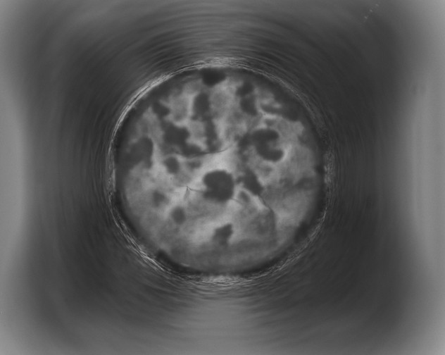 X0000103321117200810060949