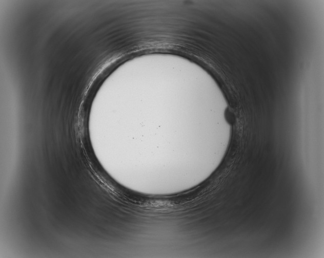 X0000103321119200810060949