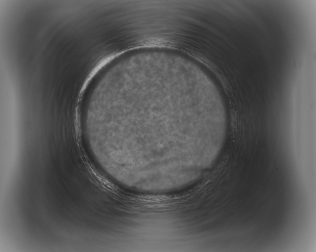 X0000103321120200810060949