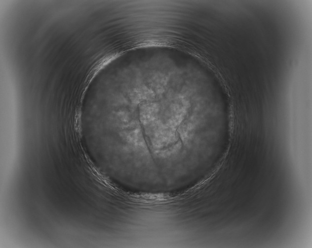 X0000103321121200810060949