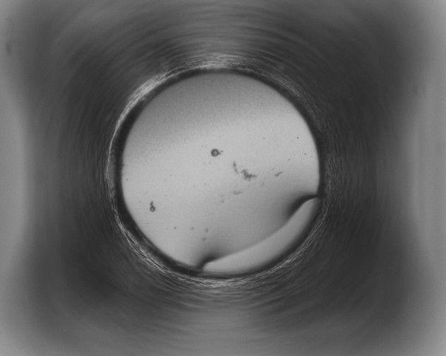 X0000103321122200810060949