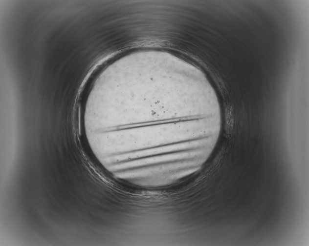 X0000103321123200810060949