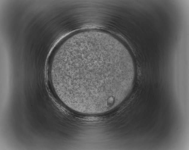 X0000103321124200810060949