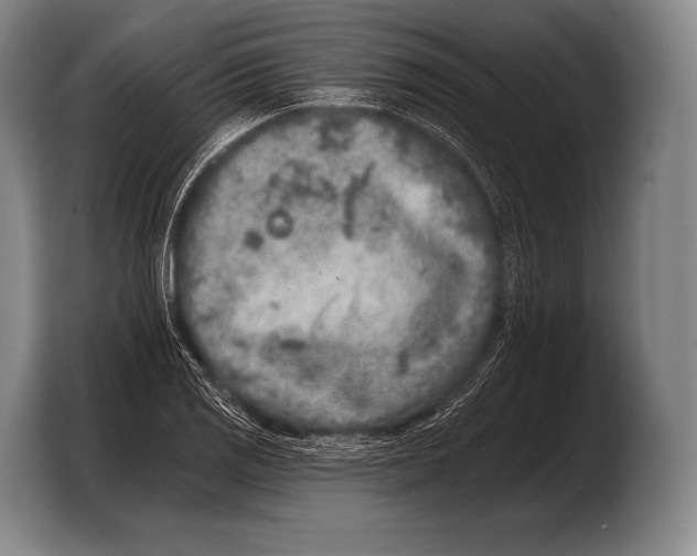 X0000103321125200810060949