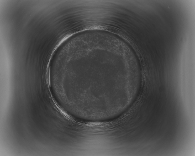 X0000103321127200810060949