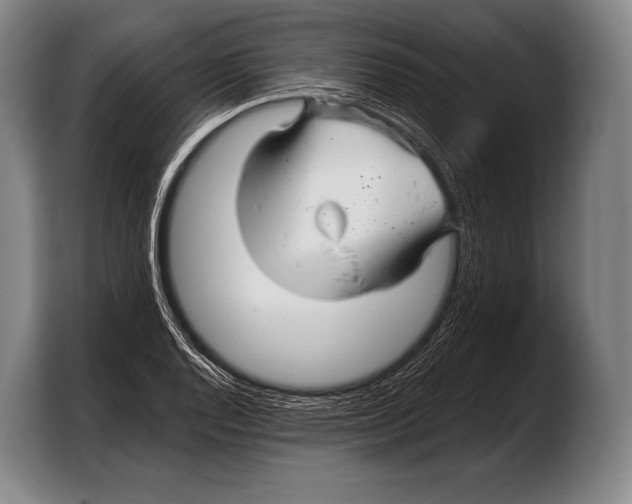 X0000103321128200810060949