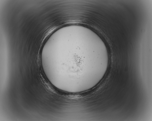 X0000103321129200810060949