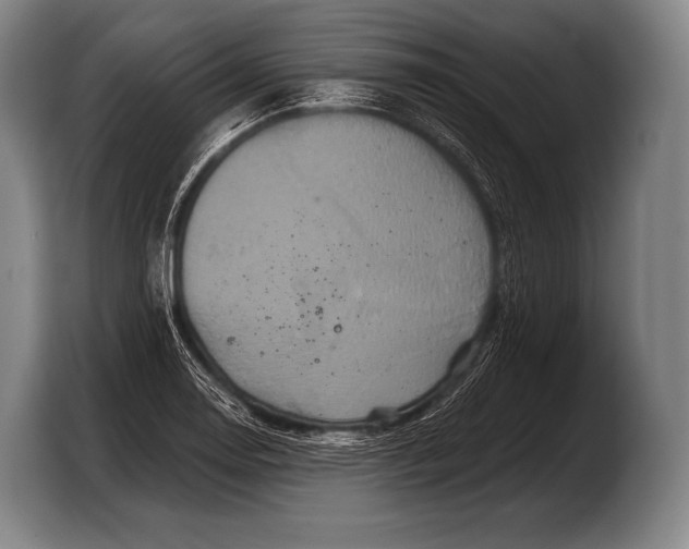 X0000103321130200810060949