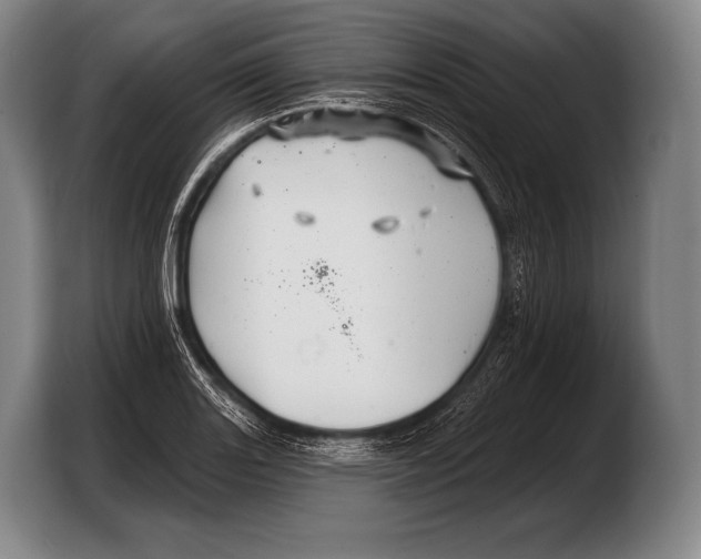 X0000103321131200810060949