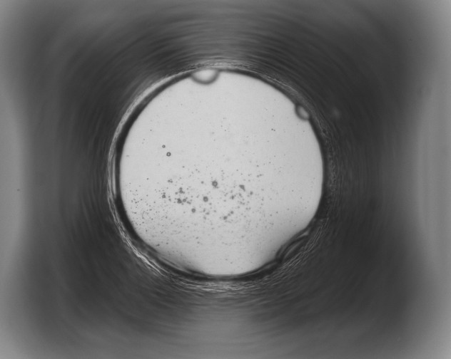 X0000103321132200810060949