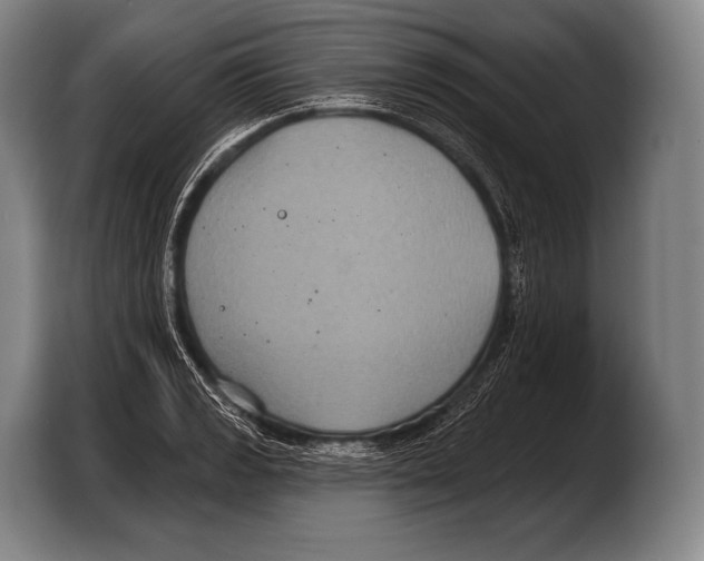 X0000103321133200810060949