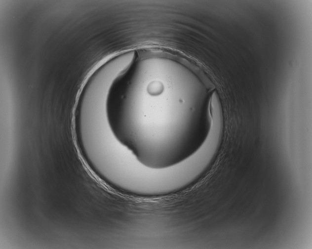 X0000103321134200810060949