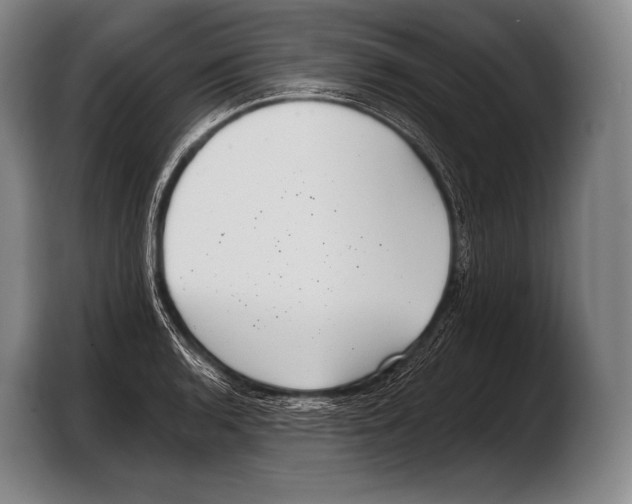 X0000103321136200810060949