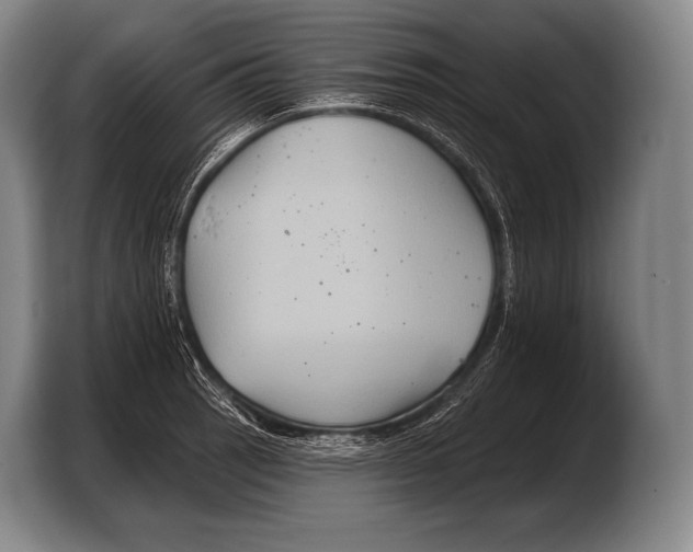 X0000103321137200810060949