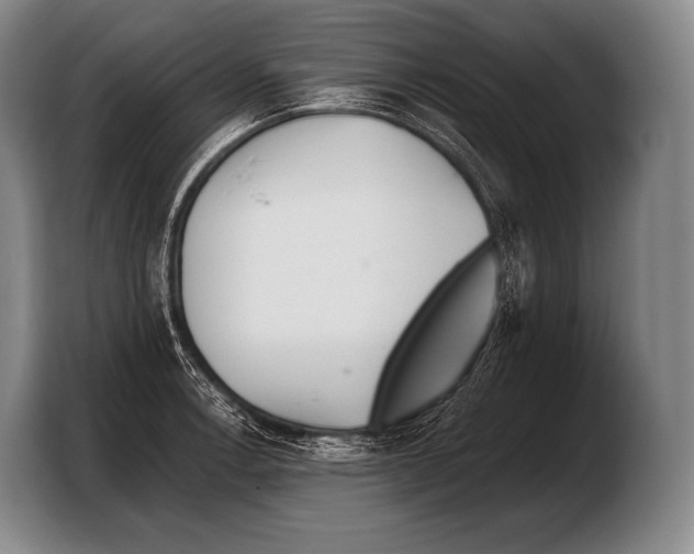 X0000103321138200810060949