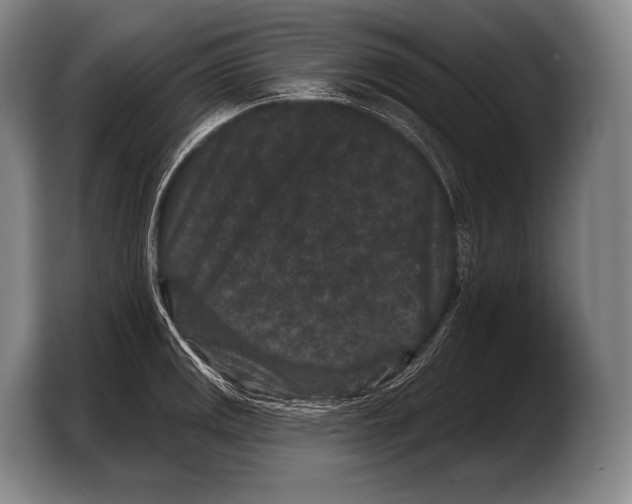 X0000103321141200810060949