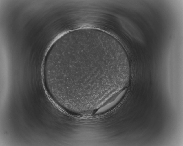 X0000103321142200810060949