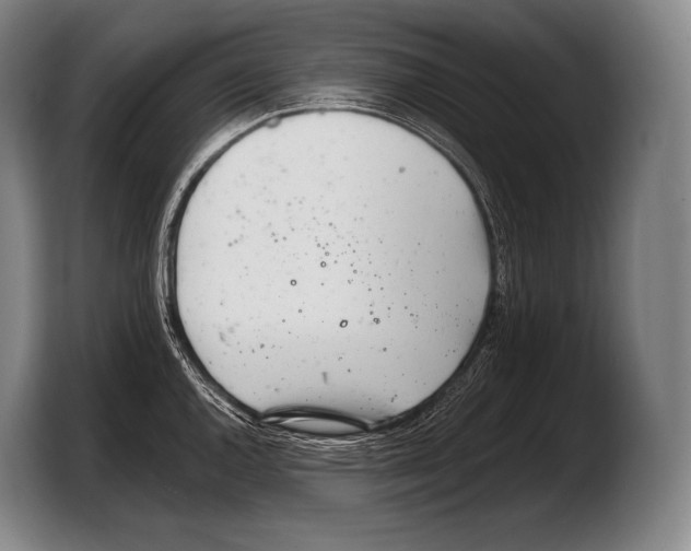 X0000103321144200810060949