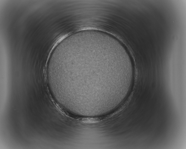 X0000103321145200810060949