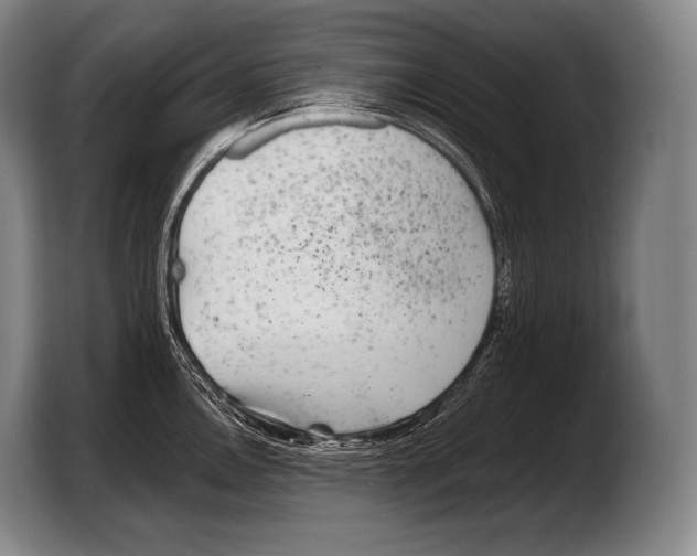 X0000103321146200810060949