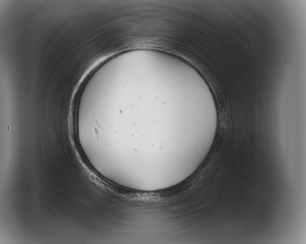 X0000103321147200810060949
